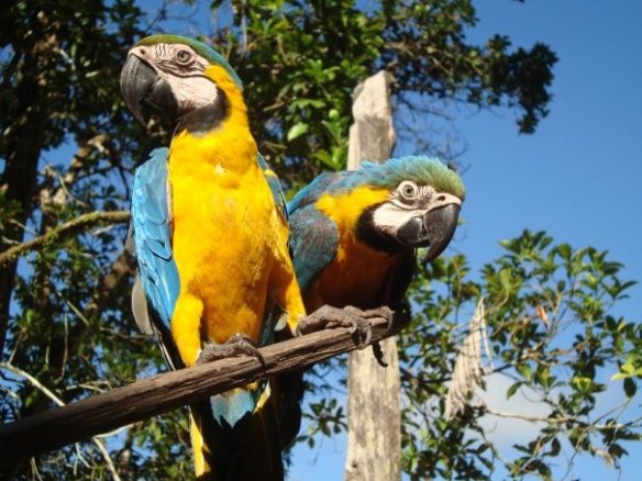 9729_1188158634970_5156521_n