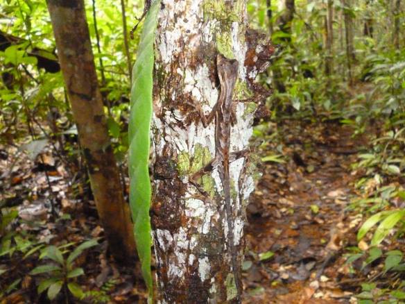 10906180_886663598020928_3517524618288722074_n