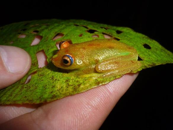 20927_748552741924839_5770723474087762249_n