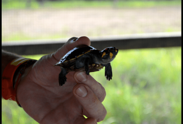 Schermata 2013-10-10 a 18.50.45