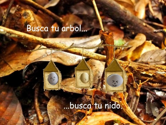 417085_10151295777875867_545733296_n copia 3