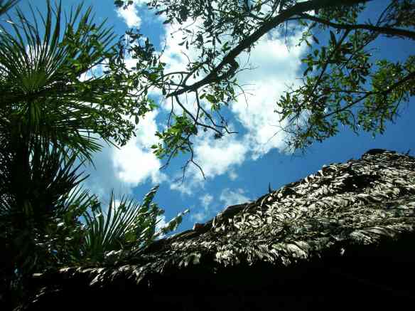 Allpahuayo Mishana Bed N Trees, un cielo de ideas.