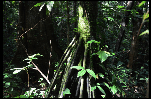 Schermata 2013-09-23 a 13.52.50