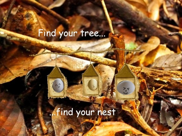 417085_10151295777875867_545733296_n copia 7