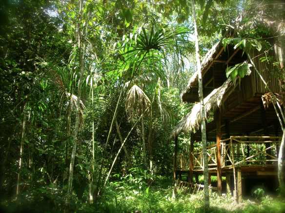 Un balcon en la naturaleza