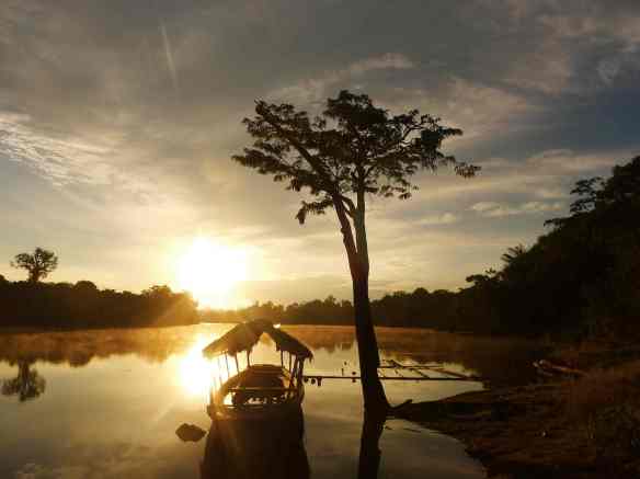 ALLPAHUAYO MISHANA BED N TREES, GO WHERE NO ONE GETS