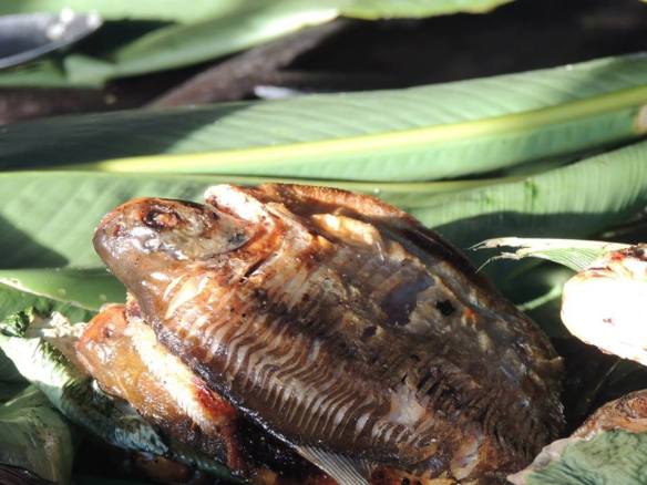 1010712_696785667049529_6230780388982317219_n