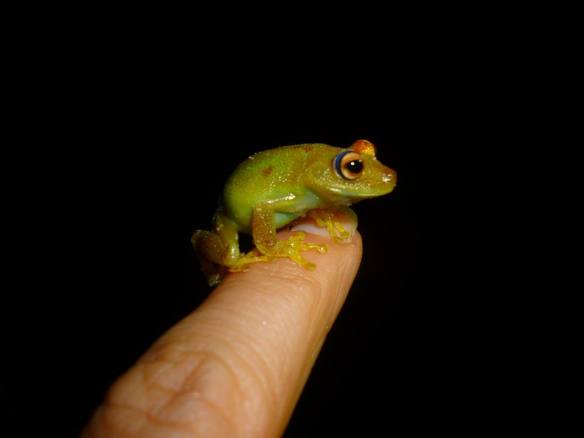 11193216_758269924286454_1428038301181229900_n