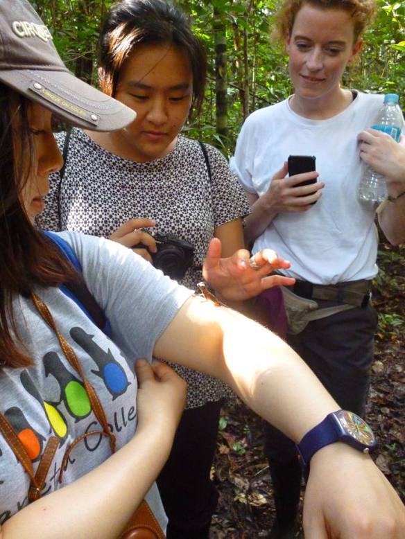 11863322_1012237205463566_4714188391569198782_n