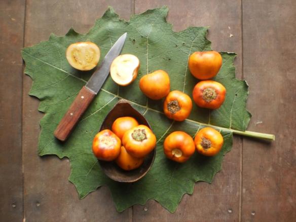 21137_506949582699806_894129616_n