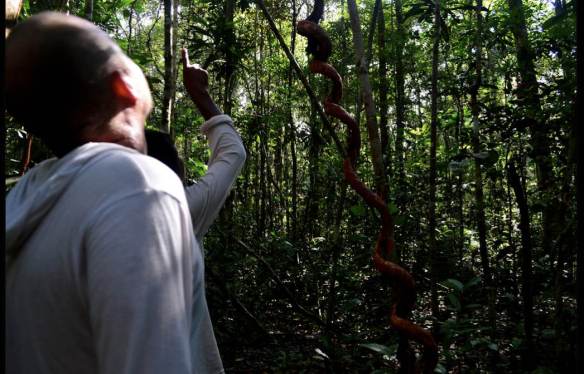 Schermata 2013-09-14 a 17.31.44