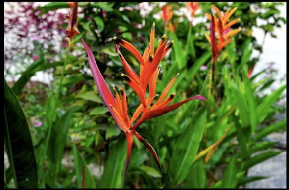 Schermata 2013-09-23 a 14.01.00