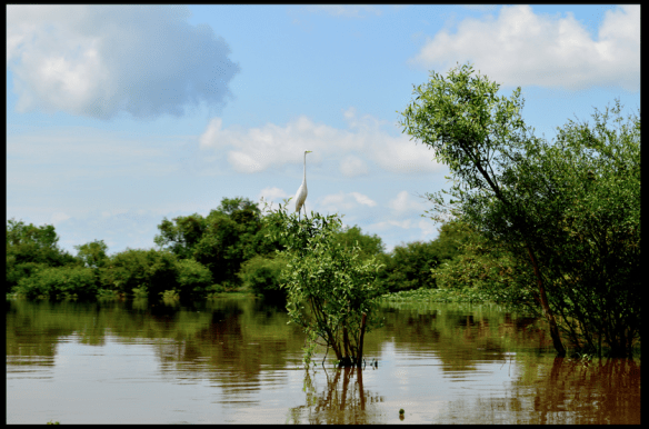 Schermata 2013-09-23 a 14.02.50